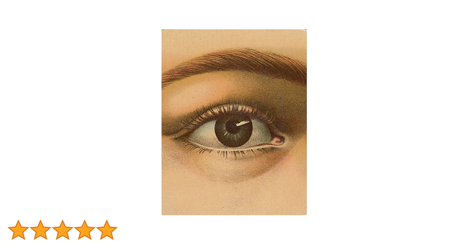 John Derian Picture Book: Derian, John: 9781579656478: Books